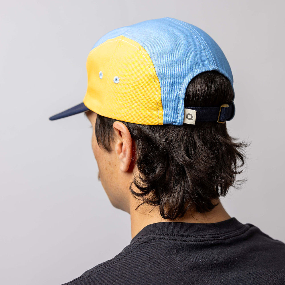 A person with dark hair wearing a blue and yellow baseball cap and a black shirt, shown from behind against a plain light background.